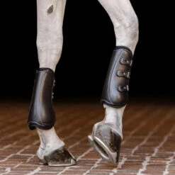 Equifit EXP3 Front Boot 10 Equifit EXP3 Front Boot -Farm Housetack Store 01703 EquiFit EXP3.Front .Boot4