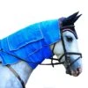 Carry-Cool Sport Horse Cooling Kit 2 Carry-Cool Sport Horse Cooling Kit -Farm Housetack Store 06e52fa6a77f6c1d405911ae00bc5dc5