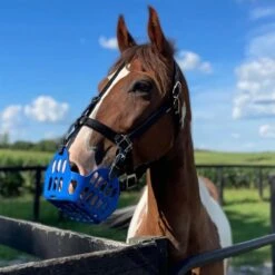 GG Equine GreenGuard Grazing Muzzle -Farm Housetack Store 1055e3ba 4735 4be7 a84f 75d962345ed1