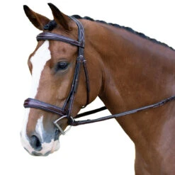 KL Select Hampton Bridle