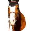 Equine Couture Fly Bonnet With Crystal -Farm Housetack Store 110741 black 1 54630.1498250683.1280.1280