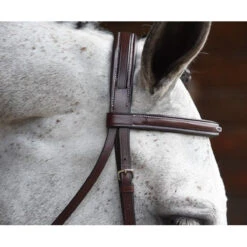 KL Select Italia Middleburg Hunter Bridle -Farm Housetack Store 111101 03 KL Italia Brown Browband