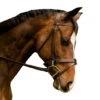 Black Oak By KL Select Maple Training Bridle