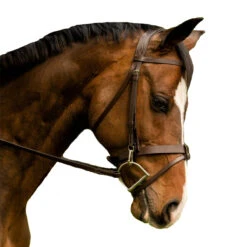 Black Oak By KL Select Maple Training Bridle
