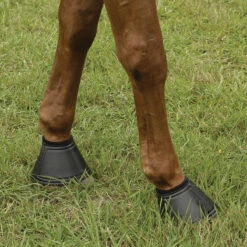 EquiFit Essential Bell Boot 15 EquiFit Essential Bell Boot -Farm Housetack Store 11269 EquiFit Essential.Bell .Boot Fleece.Rolled4