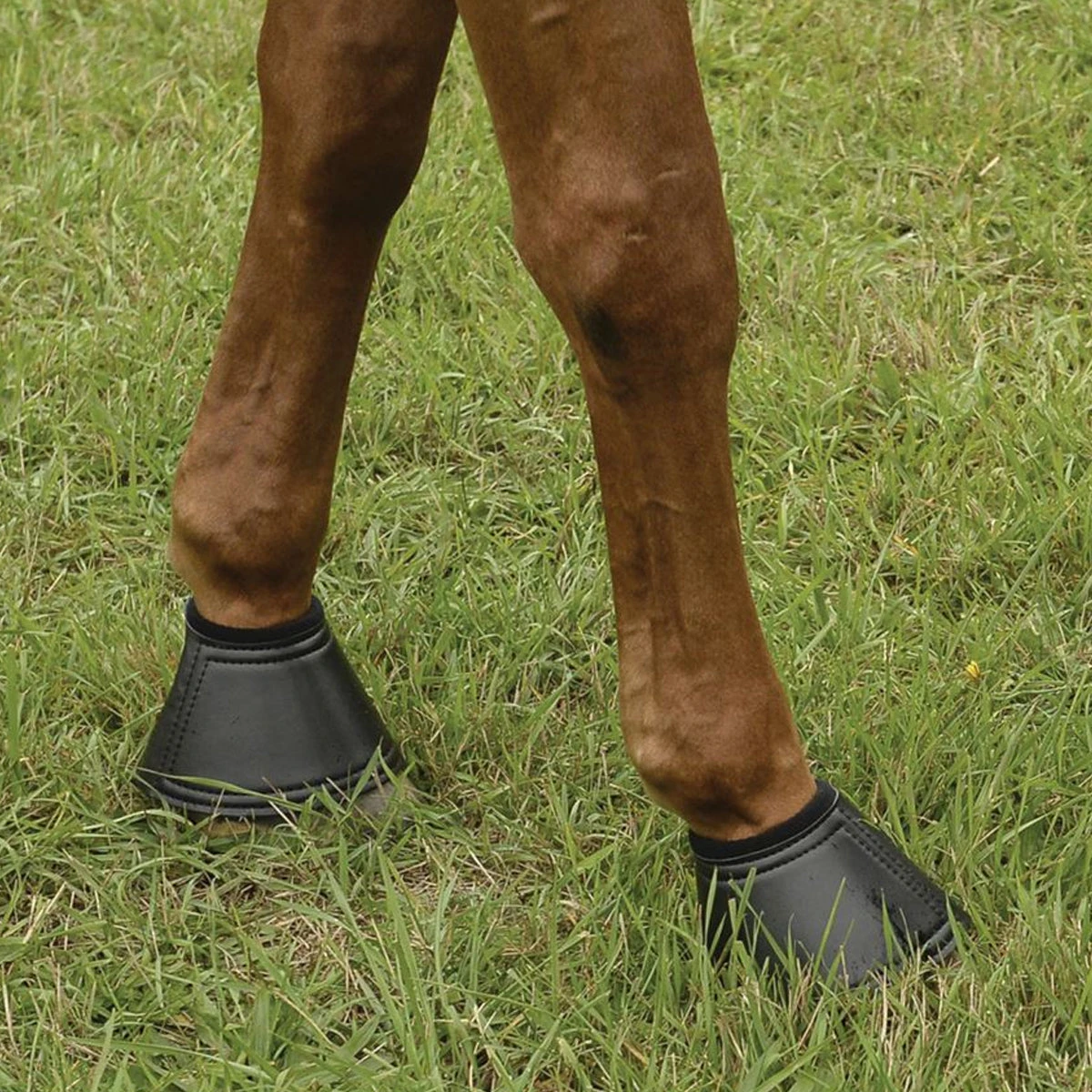 EquiFit Essential Bell Boot 8 EquiFit Essential Bell Boot - Image 6