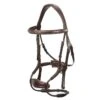LeMieux Kudos Clear Arc Bridle -Farm Housetack Store 16f6d2e335c565c3a9ee219f04651deb