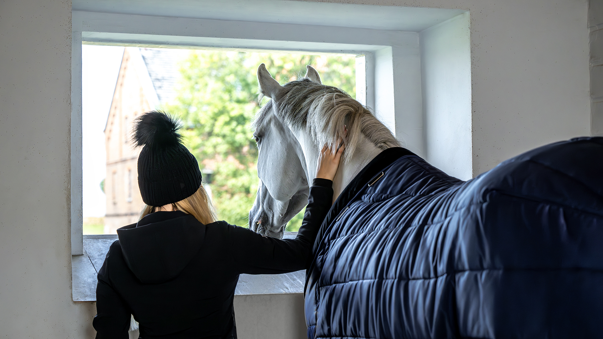 Farm Housetack Store -Farm Housetack Store 20971 060 x dsc 5333