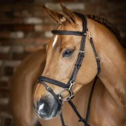 LeMieux Kudos Work Bridle -Farm Housetack Store 2305c642 6532 473d b4c4 493d274d20ce