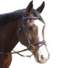 HDR Kushy Bridle With Detachable Flash