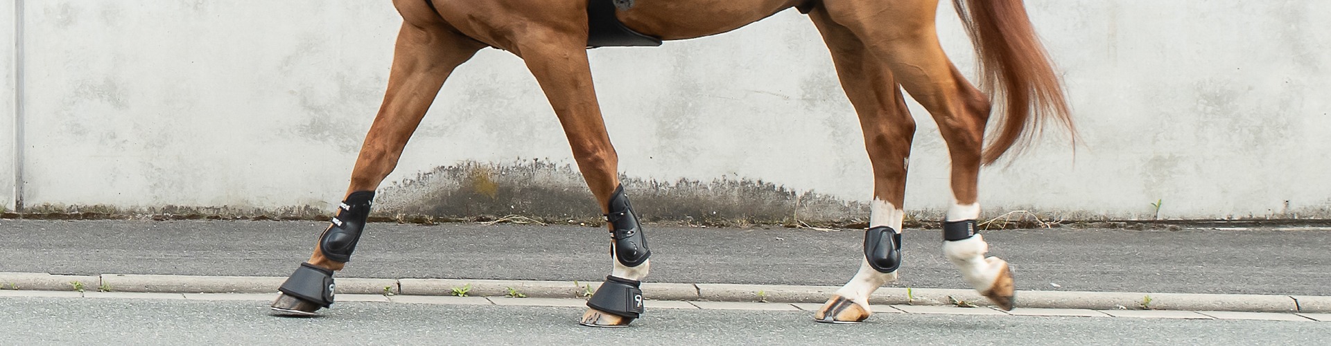 Farm Housetack Store -Farm Housetack Store 243 Category