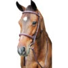 HDR Pro Fancy Raised Comfort Crown Padded Bridle With Fancy Raised Reins