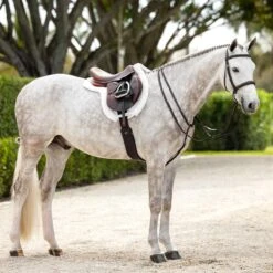 LeMieux Hunter Girth With Detachable Non-Slip Liner -Farm Housetack Store 2b0ab95c 6c16 4ff3 b6a0 f7b388d59a48