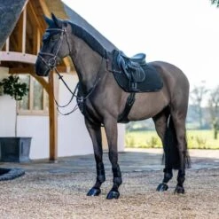 LeMieux GP Work Pad -Farm Housetack Store 306a9ea8 90df 4258 b35a 097bc31444d3