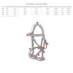 LeMieux Kudos Clear Arc Bridle -Farm Housetack Store 368f9b9a 6a49 4d2d 898a c80e8ebdc575