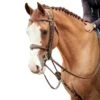 Jump'in Patrick Training Aid -Farm Housetack Store 37a3a24af92cbee60873a663b1bfd3bf