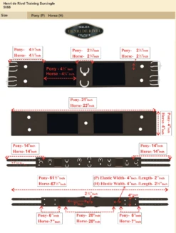 HDR Training Surcingle -Farm Housetack Store 4682c39732bc315fe685d195718a24e4