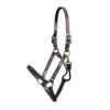 Walsh Showman Pony Halter
