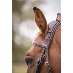 Penelope Elegance Bridle 9 Penelope Elegance Bridle -Farm Housetack Store 4a74ef700e7cc6991e47b13b7d5dd40d