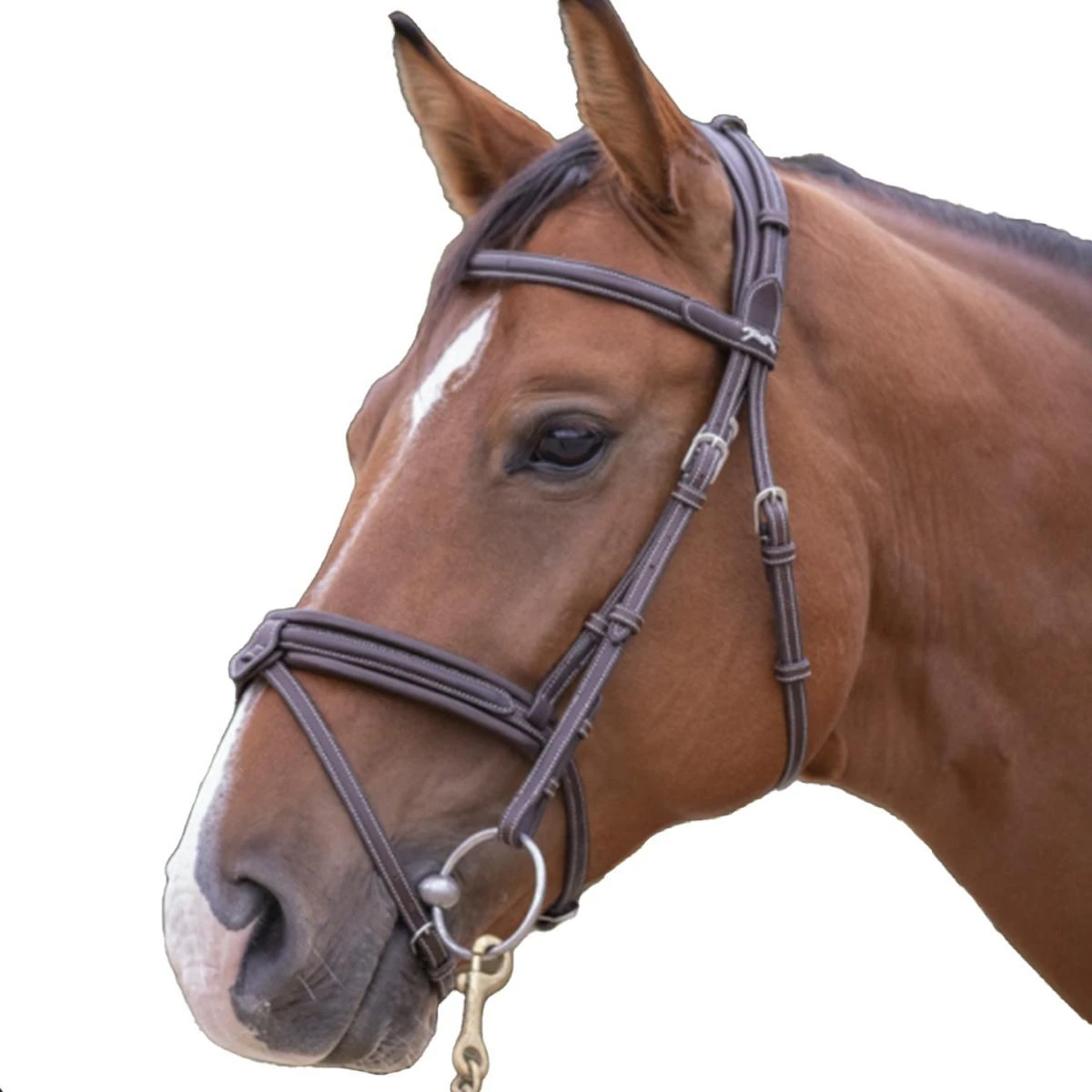Penelope Elegance Bridle 3 Penelope Elegance Bridle