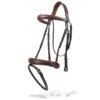 AJR Anatomic Jumper Bridle