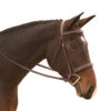 Red Barn By KL Select Tryon Hunter Bridle
