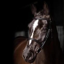 LeMieux Arika Cavesson Bridle -Farm Housetack Store 5614320b d96c 435f b7e1 cd274b3d0443