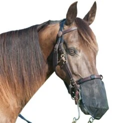 Cashel Quiet Ride Nose Net