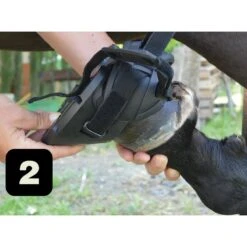 Gatusos Shoes With Pad 17 Gatusos Shoes With Pad -Farm Housetack Store 5e79cc06a8c2f7329d8f15a4c0d0173b