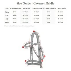 LeMieux Arika Cavesson Bridle -Farm Housetack Store 5eb7e5c9 804e 4eec bb27 9ba67094d531