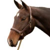 Red Barn By KL Select Kate Halter -Farm Housetack Store 661405 KL.Select Kate.Show .Halter.Fancy