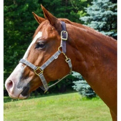 5/A Baker Breakaway Halter With Full Leather Crown -Farm Housetack Store 7034 Jacks Baker.Halter Plaid Lf.Side