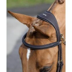 LeMieux Kudos Work Bridle -Farm Housetack Store 71bdb78c96f7572db8ded2edbdcc6f59