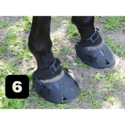 Gatusos Shoes With Pad 21 Gatusos Shoes With Pad -Farm Housetack Store 7282fa2ec2fae49a0390f56344f4e230