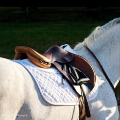 ThinLine Trifecta Cotton Half Pad -Farm Housetack Store 7306 trifecta.cotton.half .pad wht riding 2 c94b90dd 7687 4ff5 a4be bd02f86b0a77