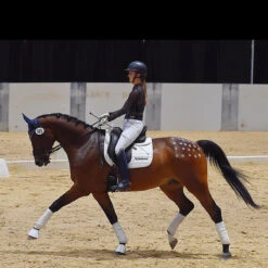 ThinLine Trifecta Cotton Half Pad -Farm Housetack Store 7306 trifecta.cotton.half .pad wht riding 8bd1e802 fe4c 4fe3 86f8 4999ada85037