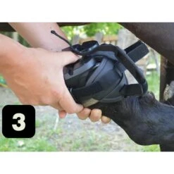 Gatusos Shoes With Pad 18 Gatusos Shoes With Pad -Farm Housetack Store 7455d7b3b343e9de37fd502e9fbc2118