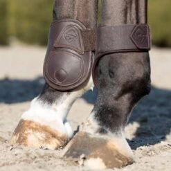LeMieux Capella Fetlock Boots -Farm Housetack Store 7460fa06c7cba28b1325029f074c6474
