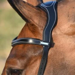 Jump'in Bitless Bridle - One Collection 7 Jump'in Bitless Bridle - One Collection -Farm Housetack Store 7920792d 46d2 4fa9 a17b 41b40991cace