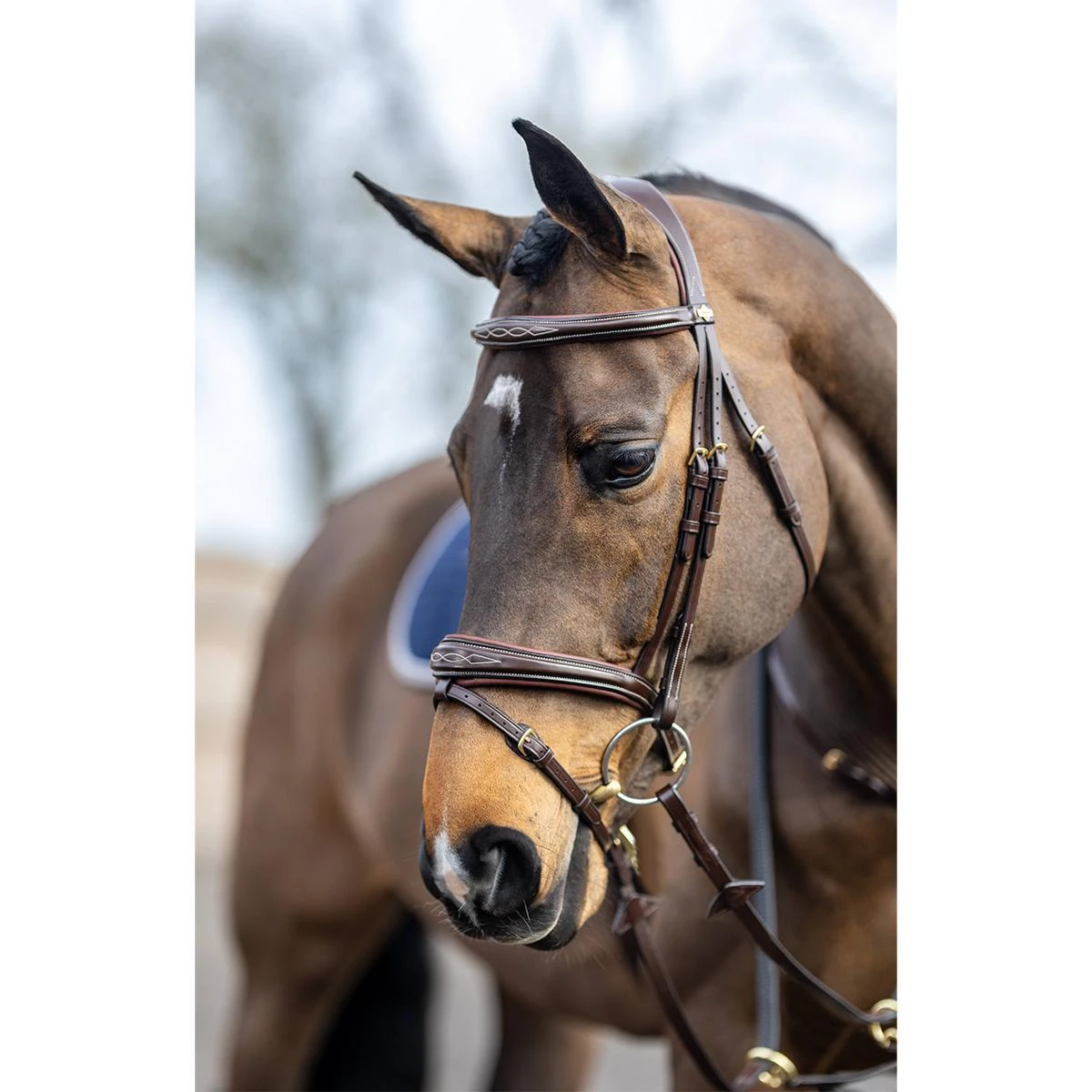 LeMieux Kudos Competition Flash Bridle 5 LeMieux Kudos Competition Flash Bridle - Image 3
