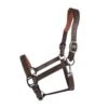 Antares Signature Halter -Farm Housetack Store 7f713397 d174 40a1 872c cfa870705d2b