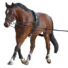 Waldhausen Lunging System -Farm Housetack Store 8104701 Waldhausen Lunging.System.2