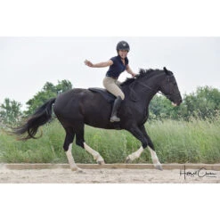 ThinLine Trifecta Comfort Bareback Saddle Pad -Farm Housetack Store 8880 ThinLine rider