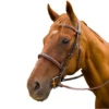 HDR Pro Mono Crown Padded Fancy Bridle 2 HDR Pro Mono Crown Padded Fancy Bridle -Farm Housetack Store 93390325 6e08 4a88 b815 4761d10e34c3