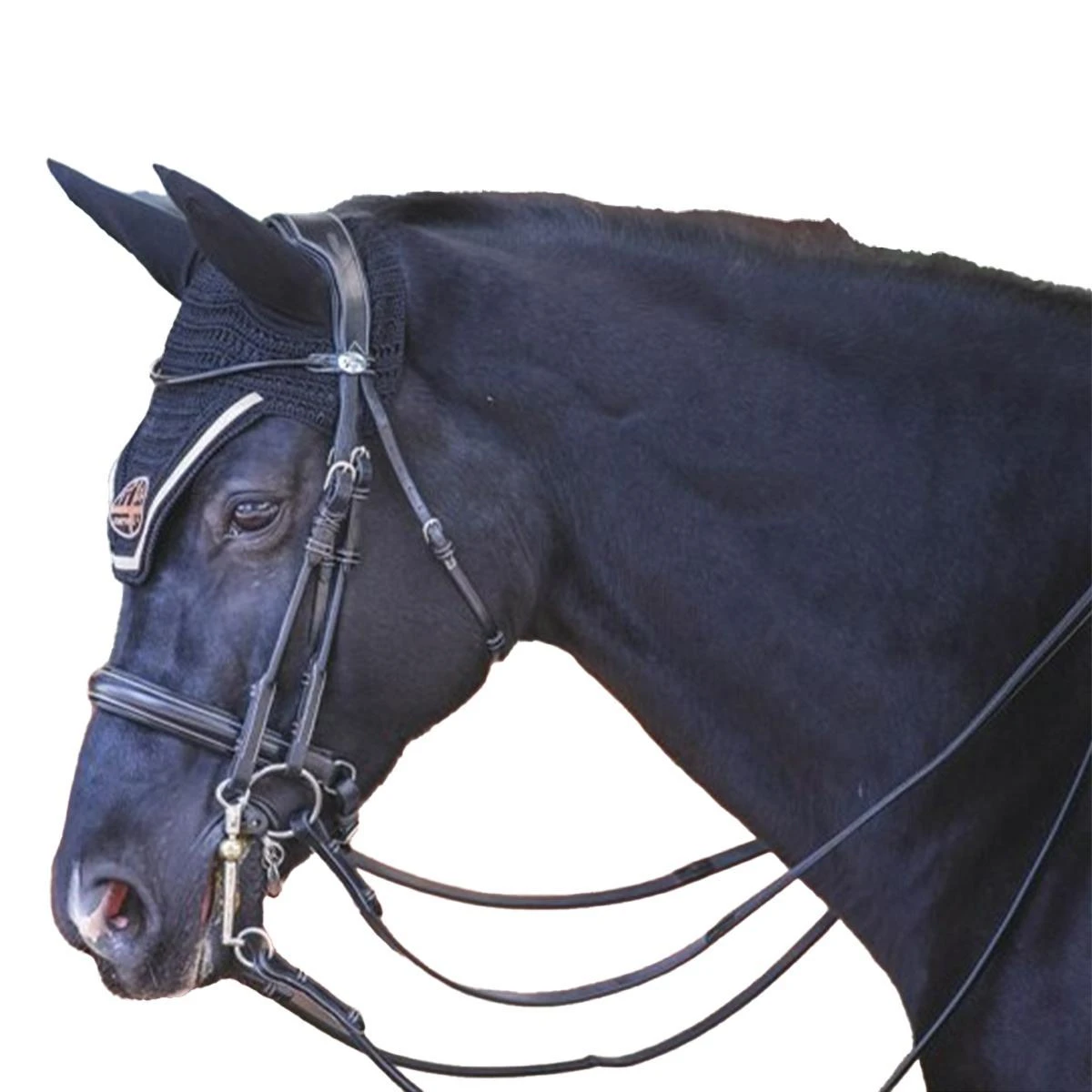 Jump'in Patent Double Bridle - Week Collection 3 Jump'in Patent Double Bridle - Week Collection