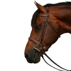 Equiline Scott Stewart Hunter Bridle -Farm Housetack Store BJ150 EQline Scott.Stewart.Hunter.Bridle Brown Side