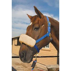 ECP Halter Fleece Noseband Cover -Farm Housetack Store ECP halter.fleece.noseband.cover HP 5N 07 cream