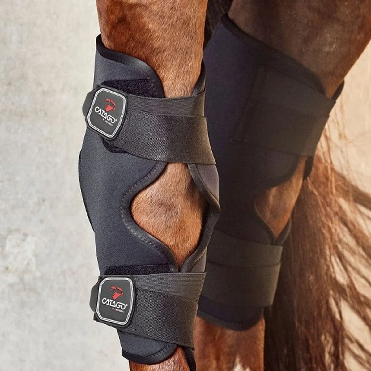 Catago Fir-Tech Hock Boot - Image 2