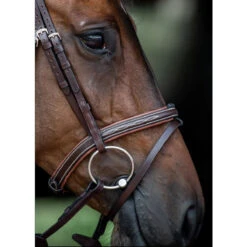 Equiline Fancy Stitched Noseband -Farm Housetack Store Equiline Fancy.Stitched.Noseband.1 Brown