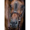 Equiline Fancy Stitched Noseband -Farm Housetack Store Equiline Fancy.Stitched.Noseband.2 Brown